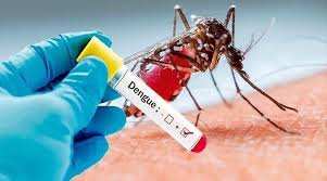 “Clinical Predictors and Surveillance of Severe Dengue in Southern Province, Sri Lanka”